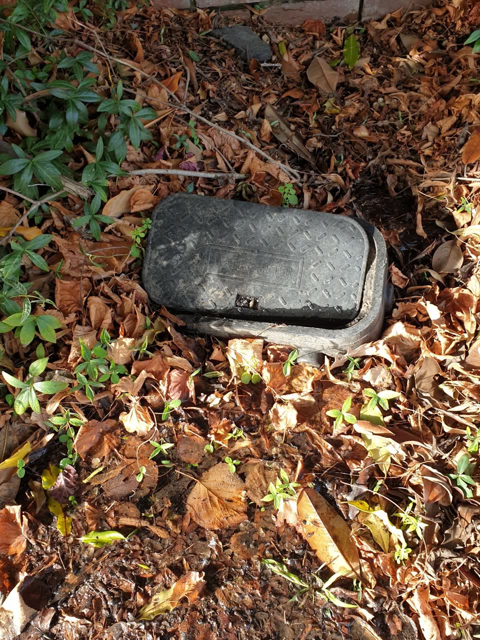 The photograph attached to this water supply report