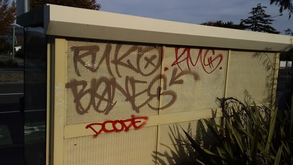 The photograph attached to this graffiti report