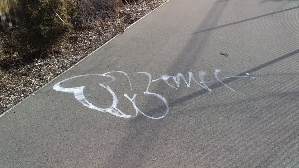 The photograph attached to this graffiti report