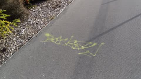 Graffiti, a report photo