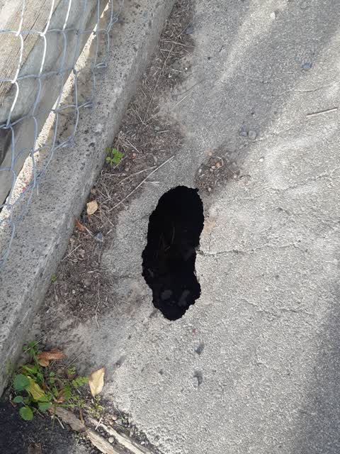 Roading/Streets, a report photo