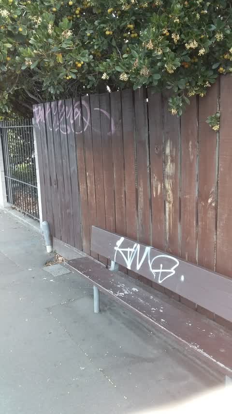 Graffiti, a report photo