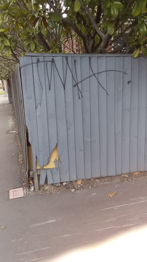 Graffiti, a report photo
