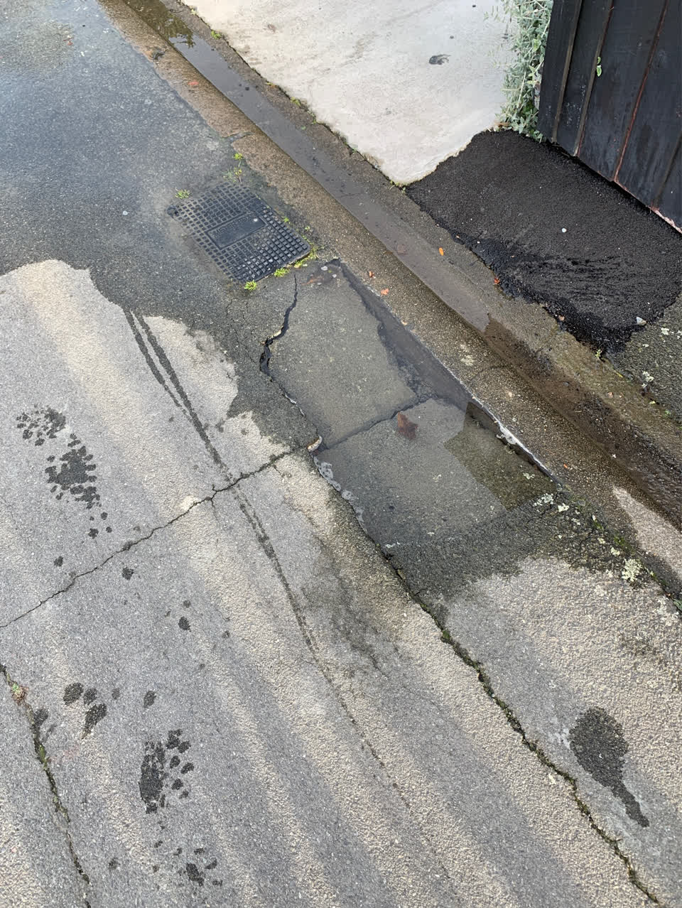 The photograph attached to this water supply report