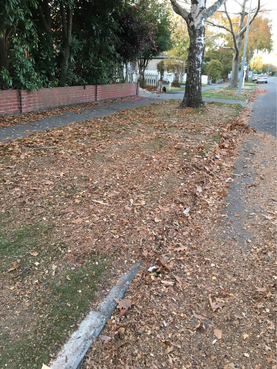 The photograph attached to this roading/streets report