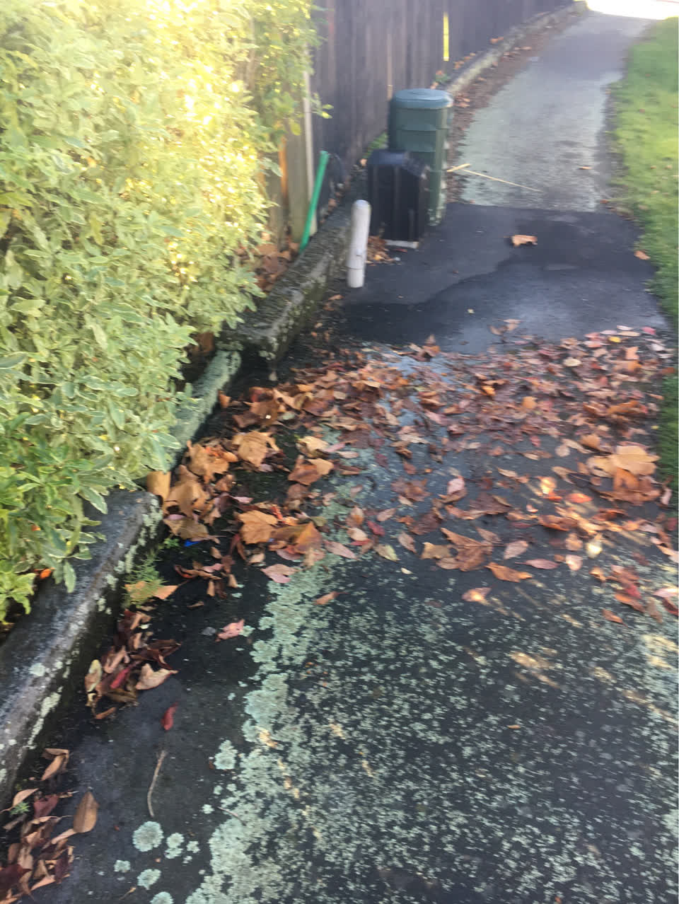 The photograph attached to this water supply report