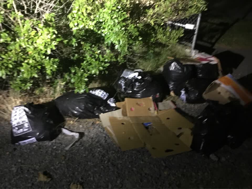 The photograph attached to this rubbish/recycling report