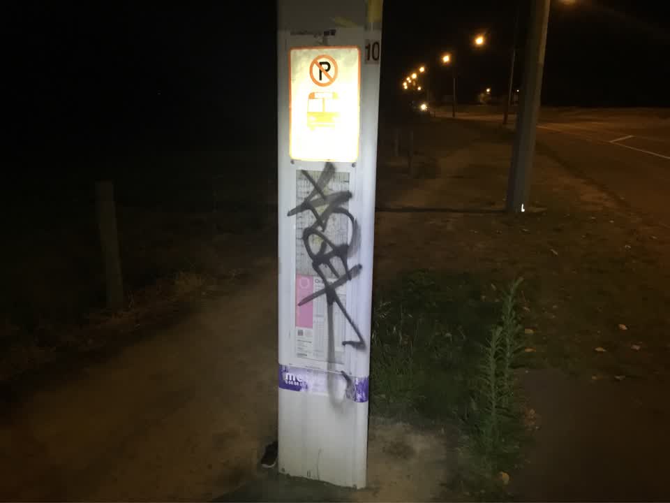 The photograph attached to this graffiti report