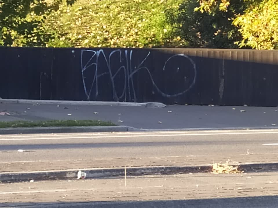 The photograph attached to this graffiti report