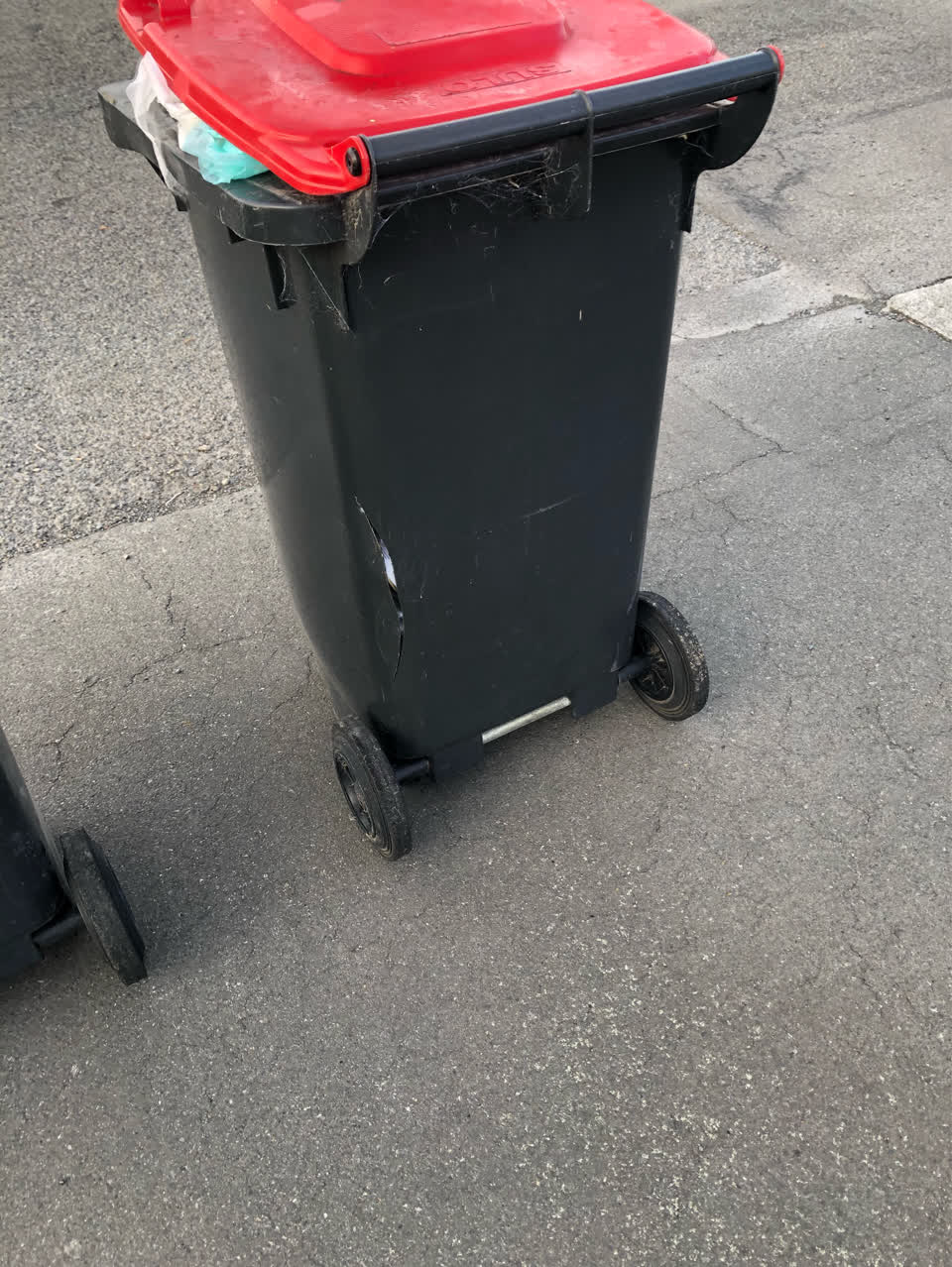 The photograph attached to this rubbish/recycling report