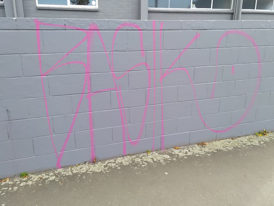 The photograph attached to this graffiti report