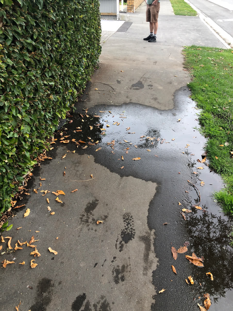 The photograph attached to this water supply report