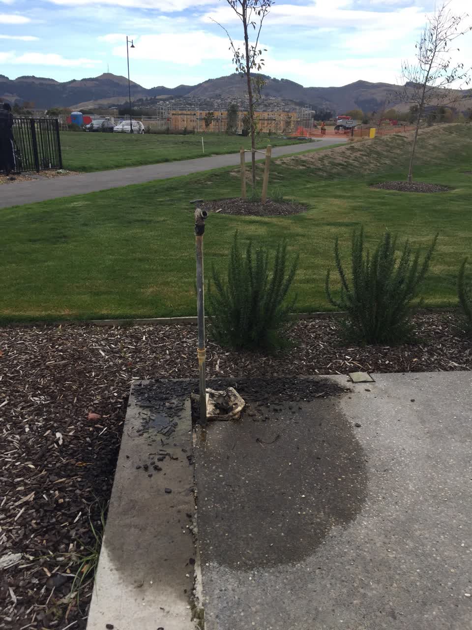 The photograph attached to this parks report