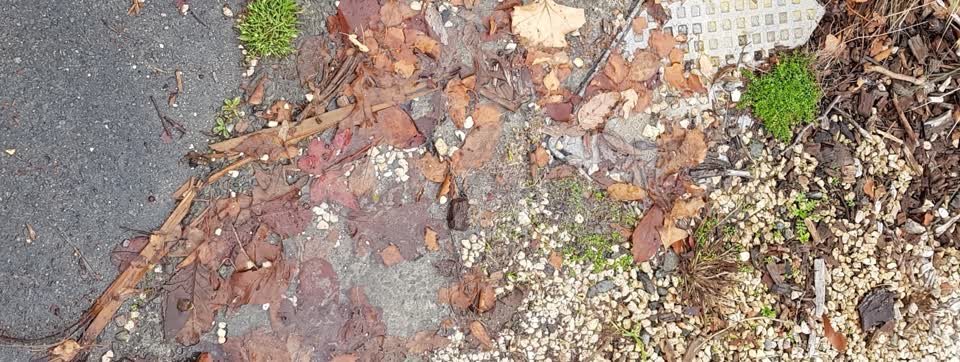 The photograph attached to this water supply report