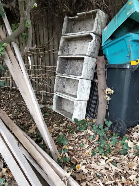 Rubbish/Recycling, a report photo