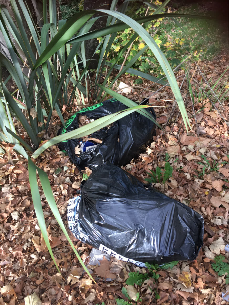 The photograph attached to this parks report