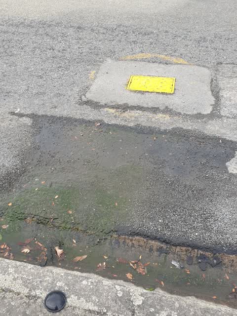 Water Supply, a report photo