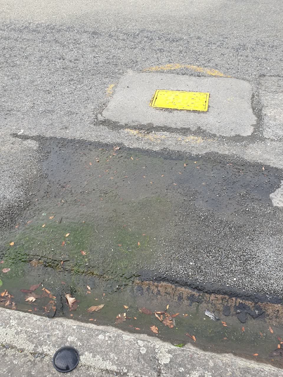 The photograph attached to this water supply report