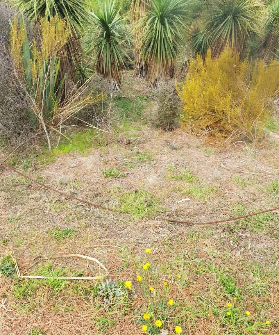 The photograph attached to this parks report