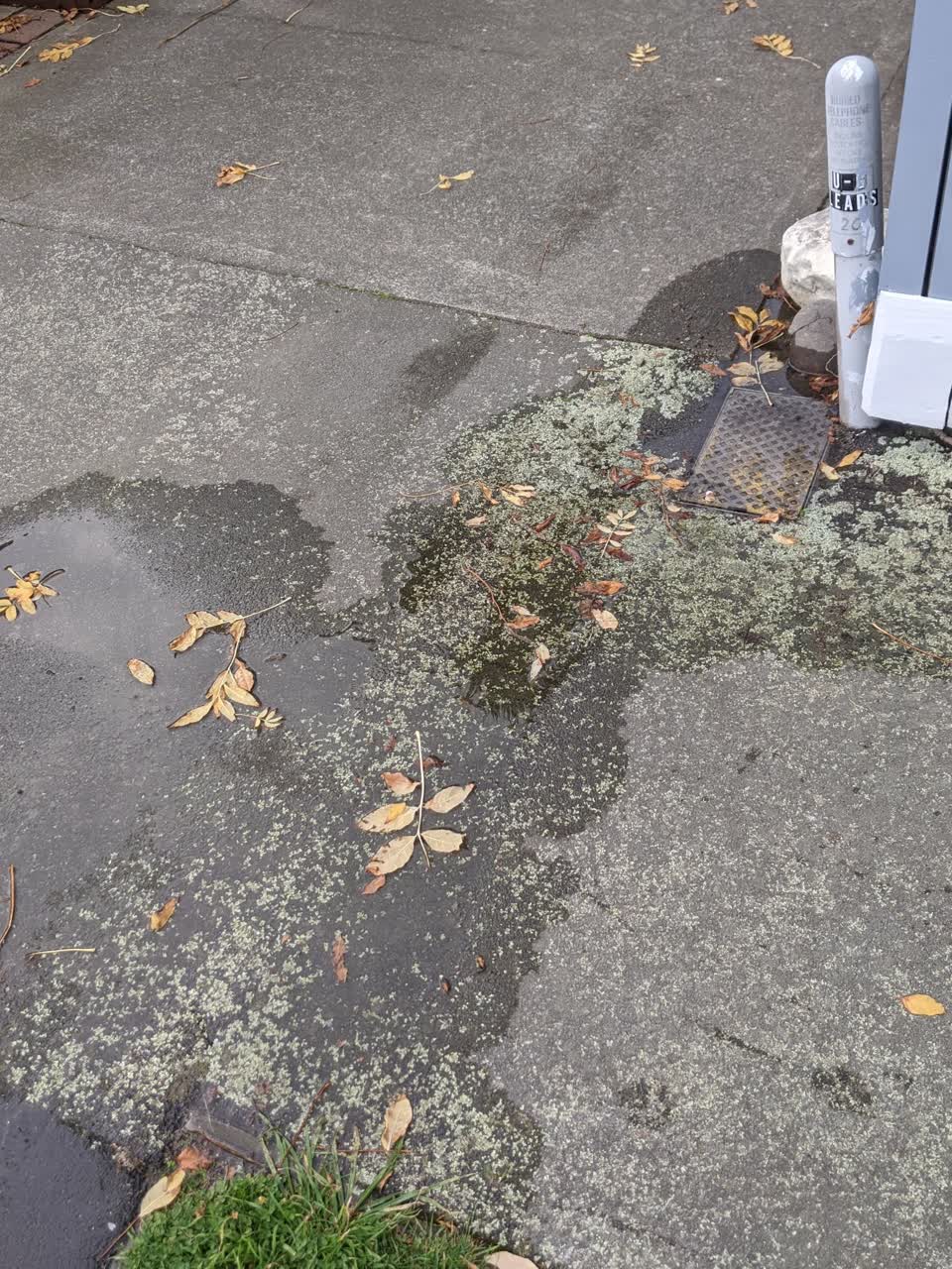 The photograph attached to this water supply report