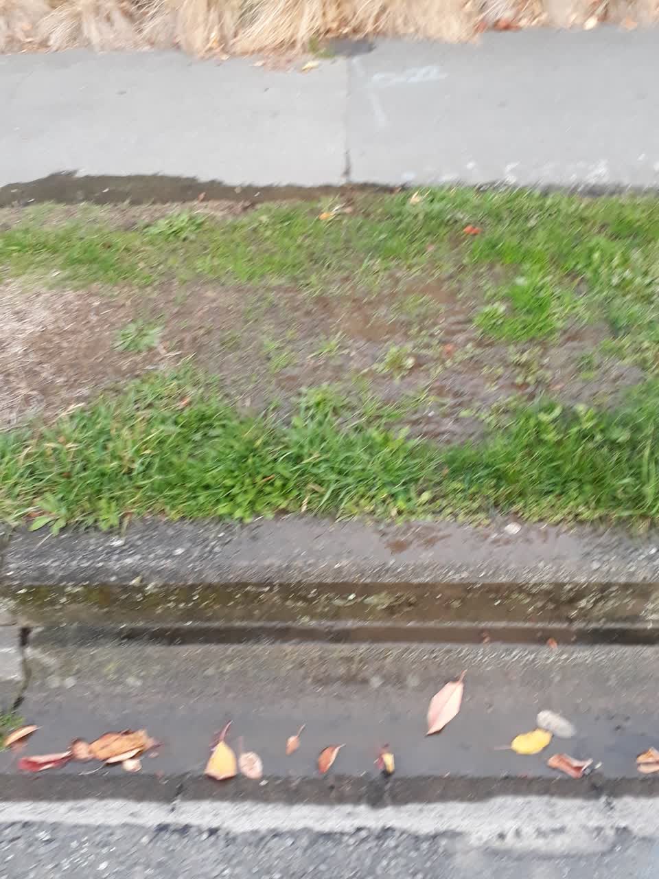The photograph attached to this water supply report