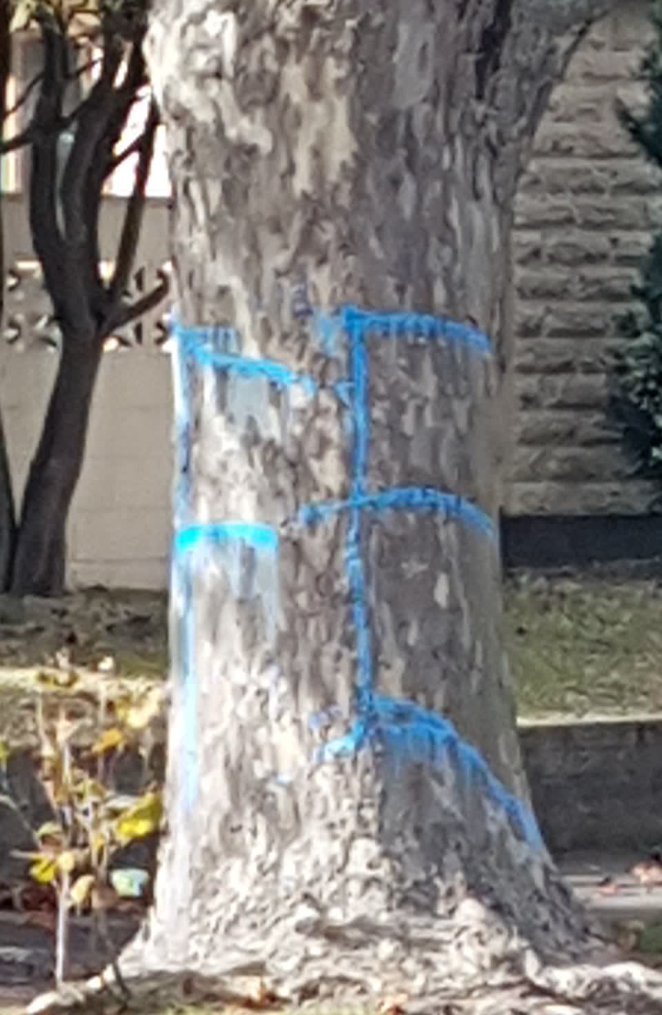 The photograph attached to this graffiti report