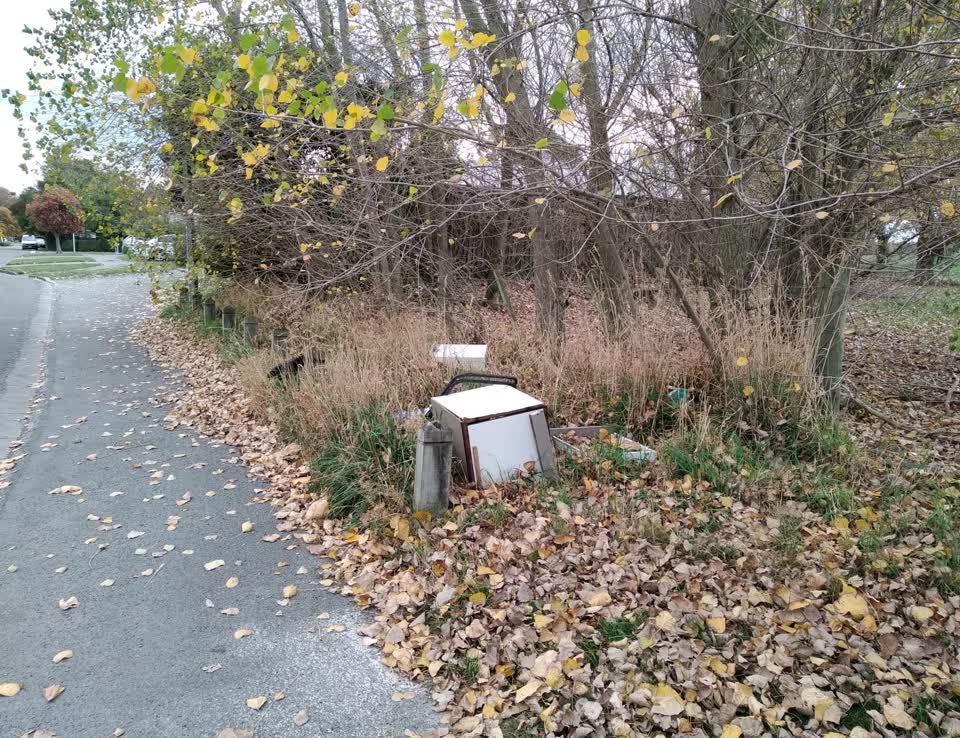 The photograph attached to this rubbish/recycling report