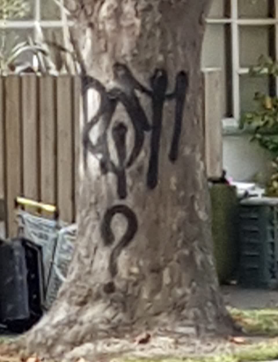 The photograph attached to this graffiti report