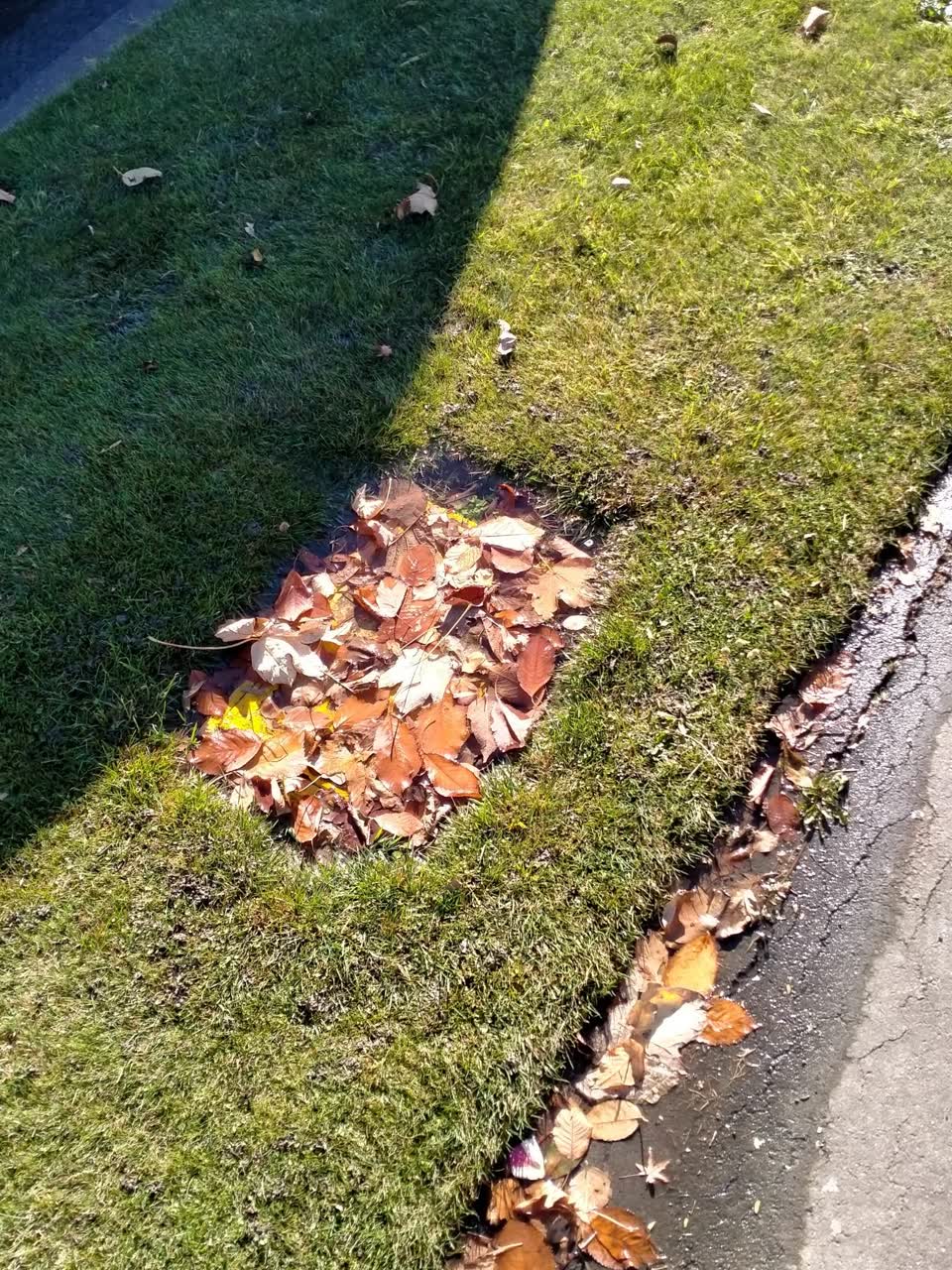 The photograph attached to this water supply report