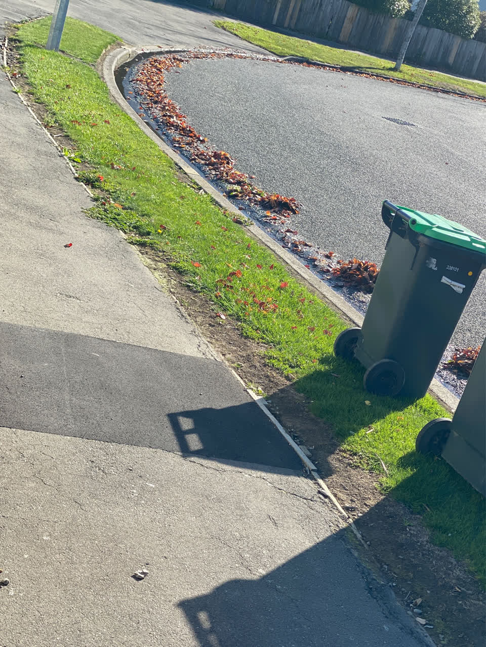 The photograph attached to this roading/streets report