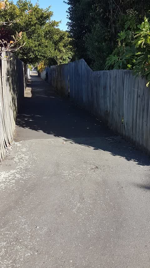 Roading/Streets, a report photo