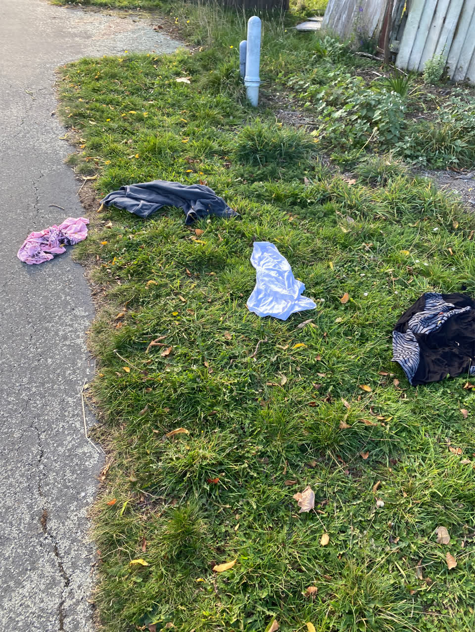 The photograph attached to this rubbish/recycling report