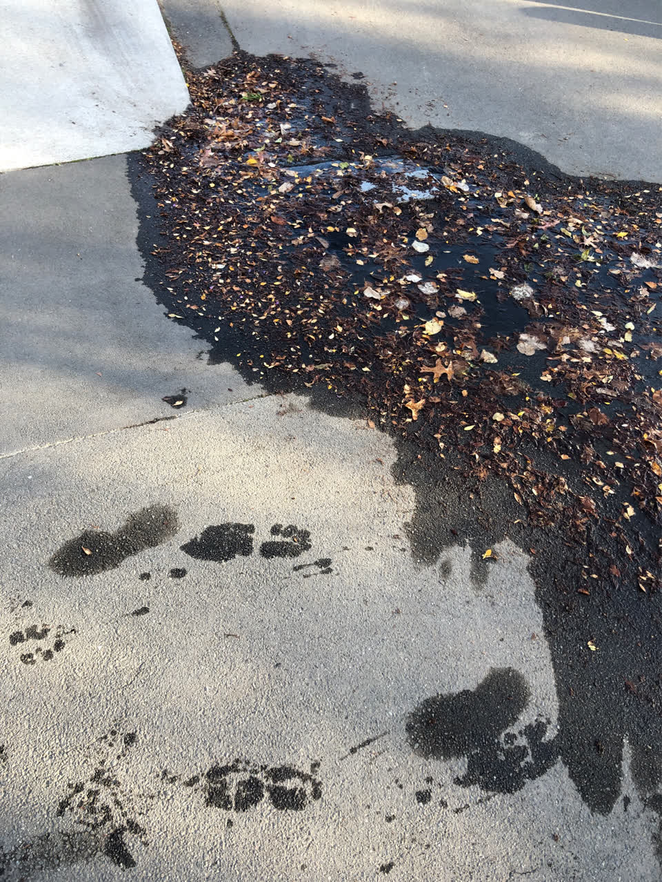 The photograph attached to this water supply report