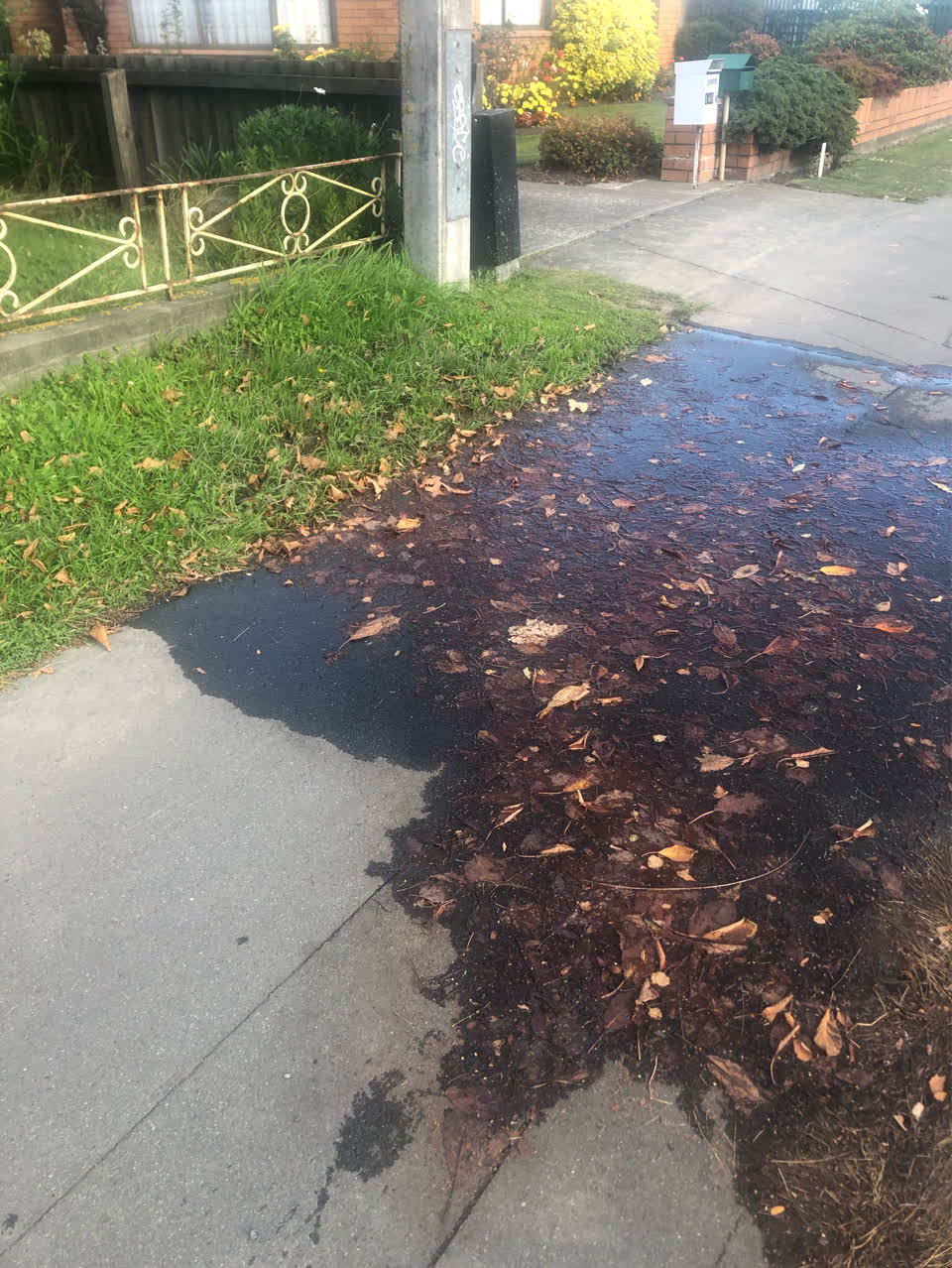 The photograph attached to this water supply report