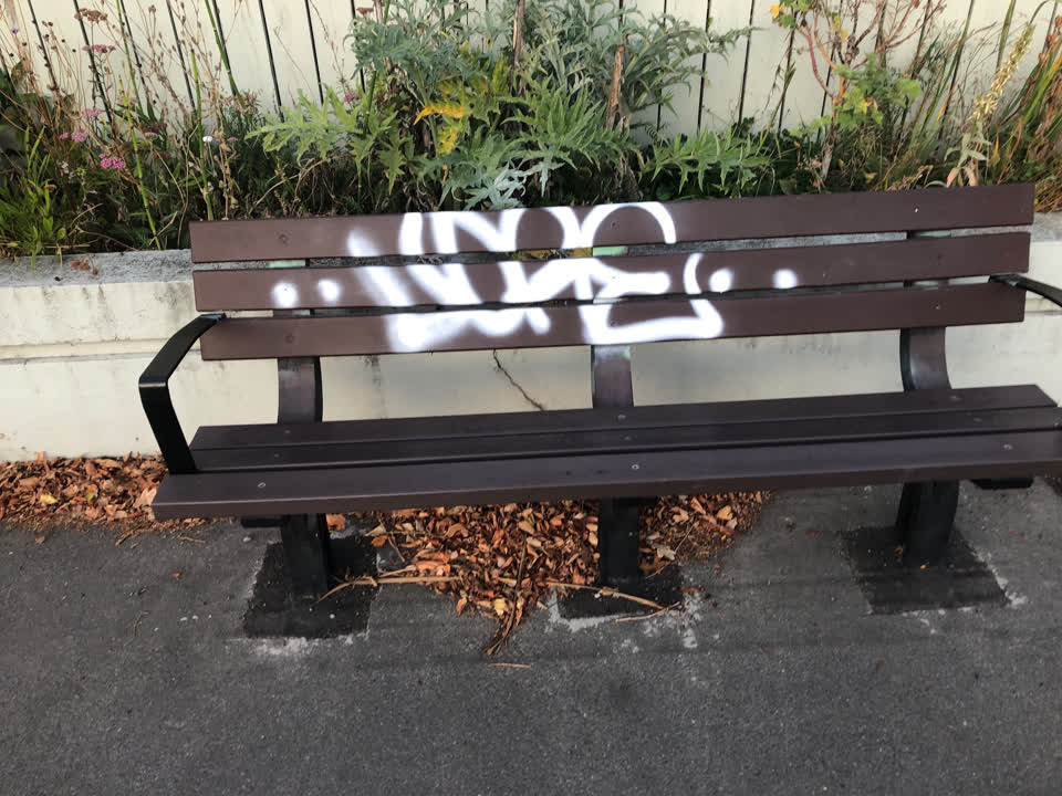 The photograph attached to this graffiti report