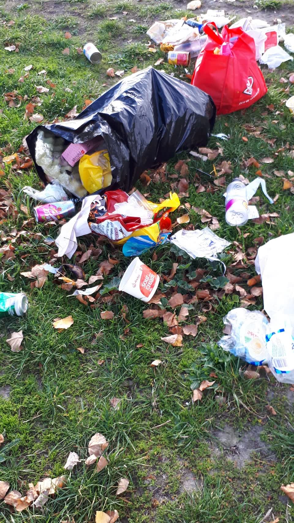 The photograph attached to this rubbish/recycling report