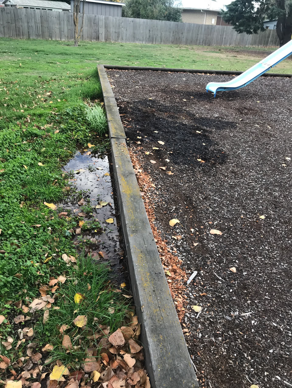 The photograph attached to this parks report