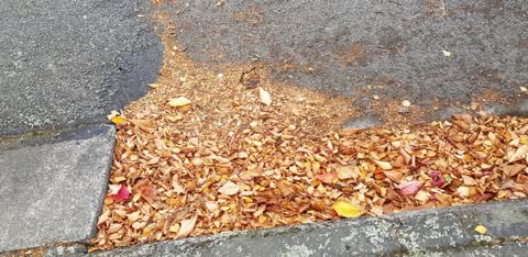 Roading/Streets, a report photo
