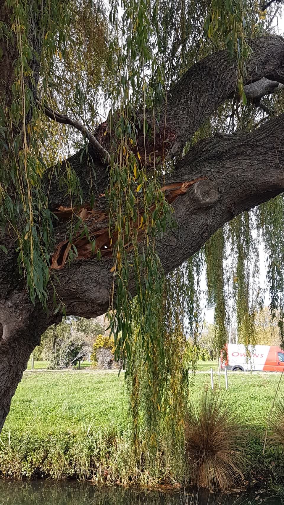 The photograph attached to this parks report