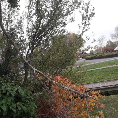 Parks, a report photo