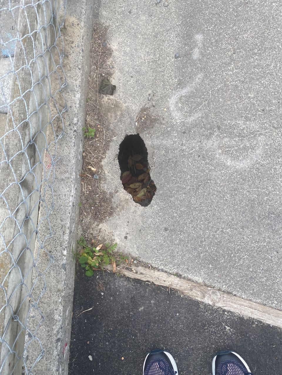The photograph attached to this roading/streets report