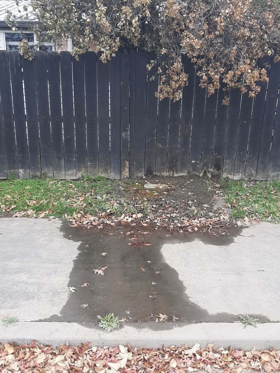 The photograph attached to this water supply report