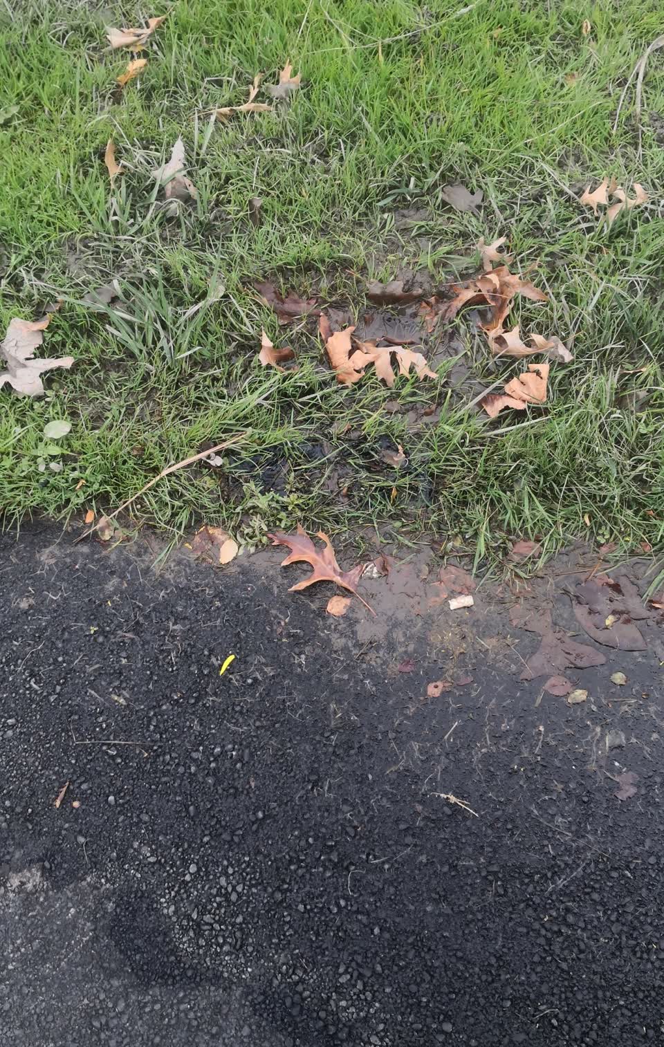 The photograph attached to this water supply report