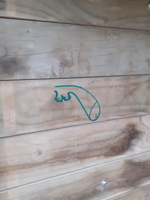 Graffiti, a report photo