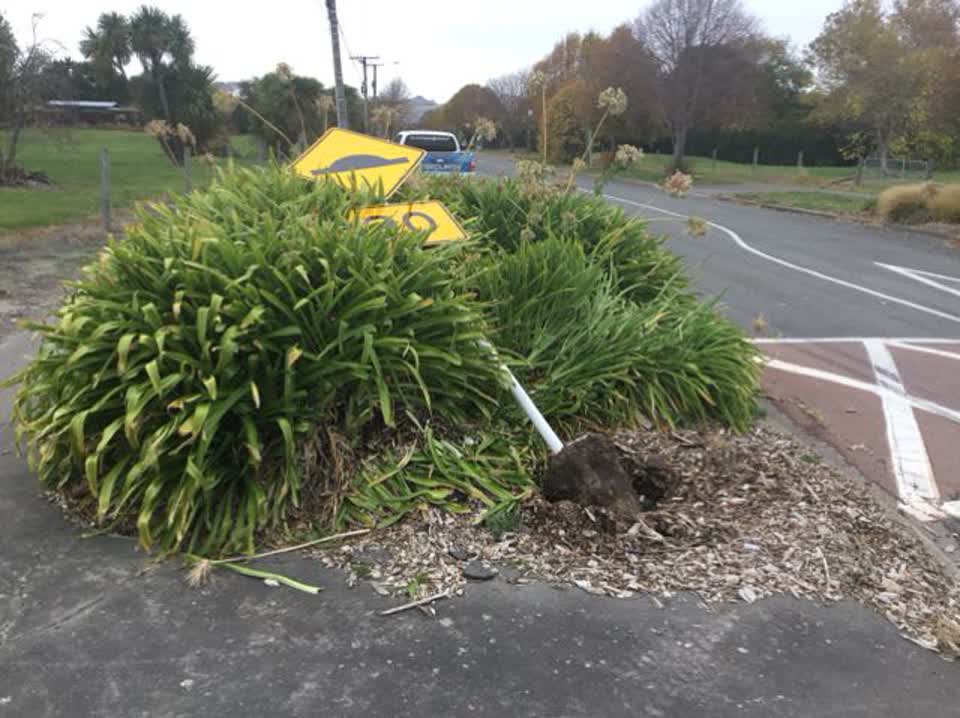 The photograph attached to this roading/streets report
