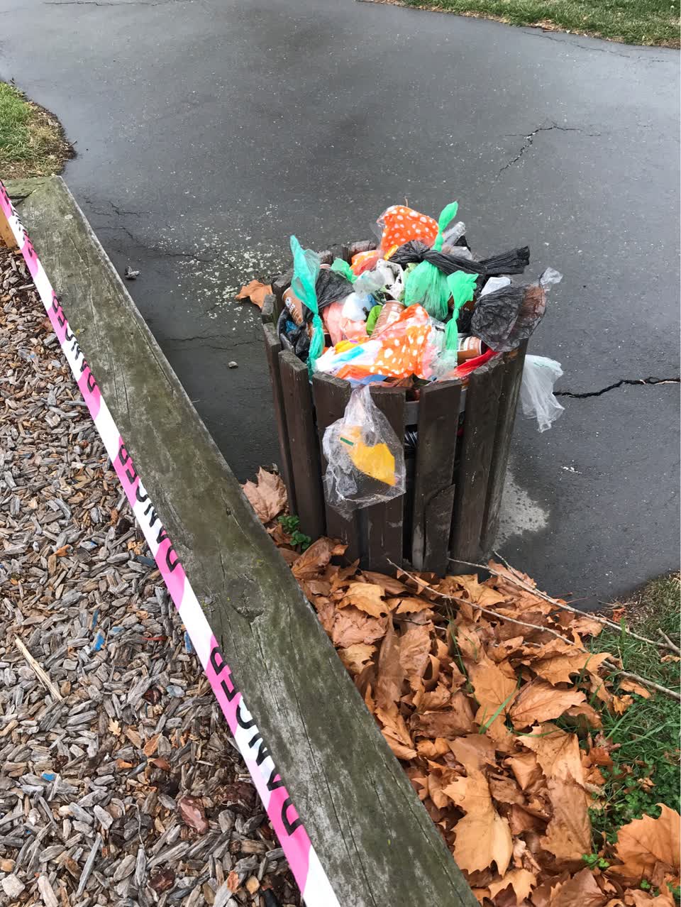 The photograph attached to this rubbish/recycling report