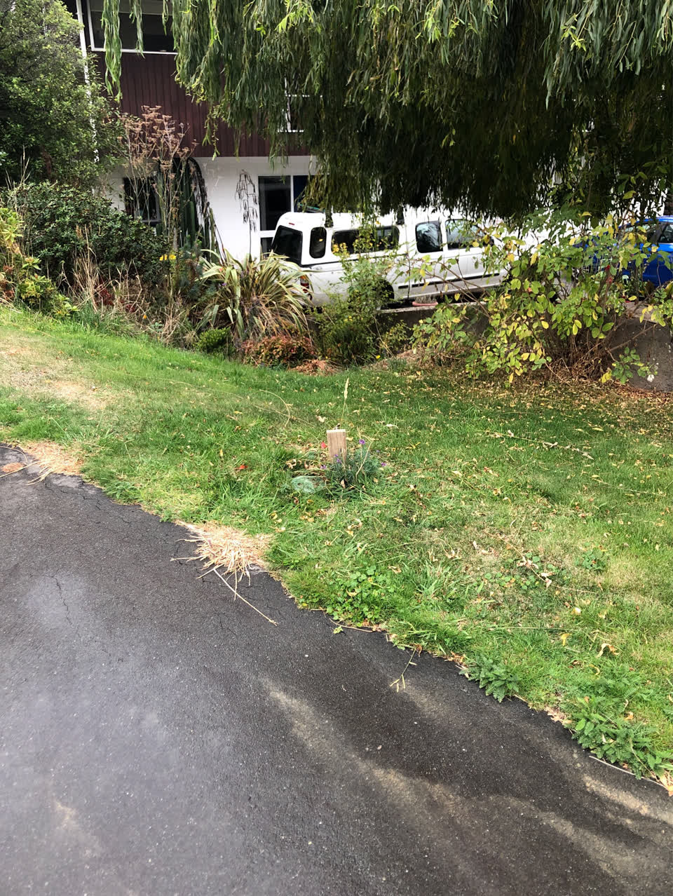 The photograph attached to this water supply report