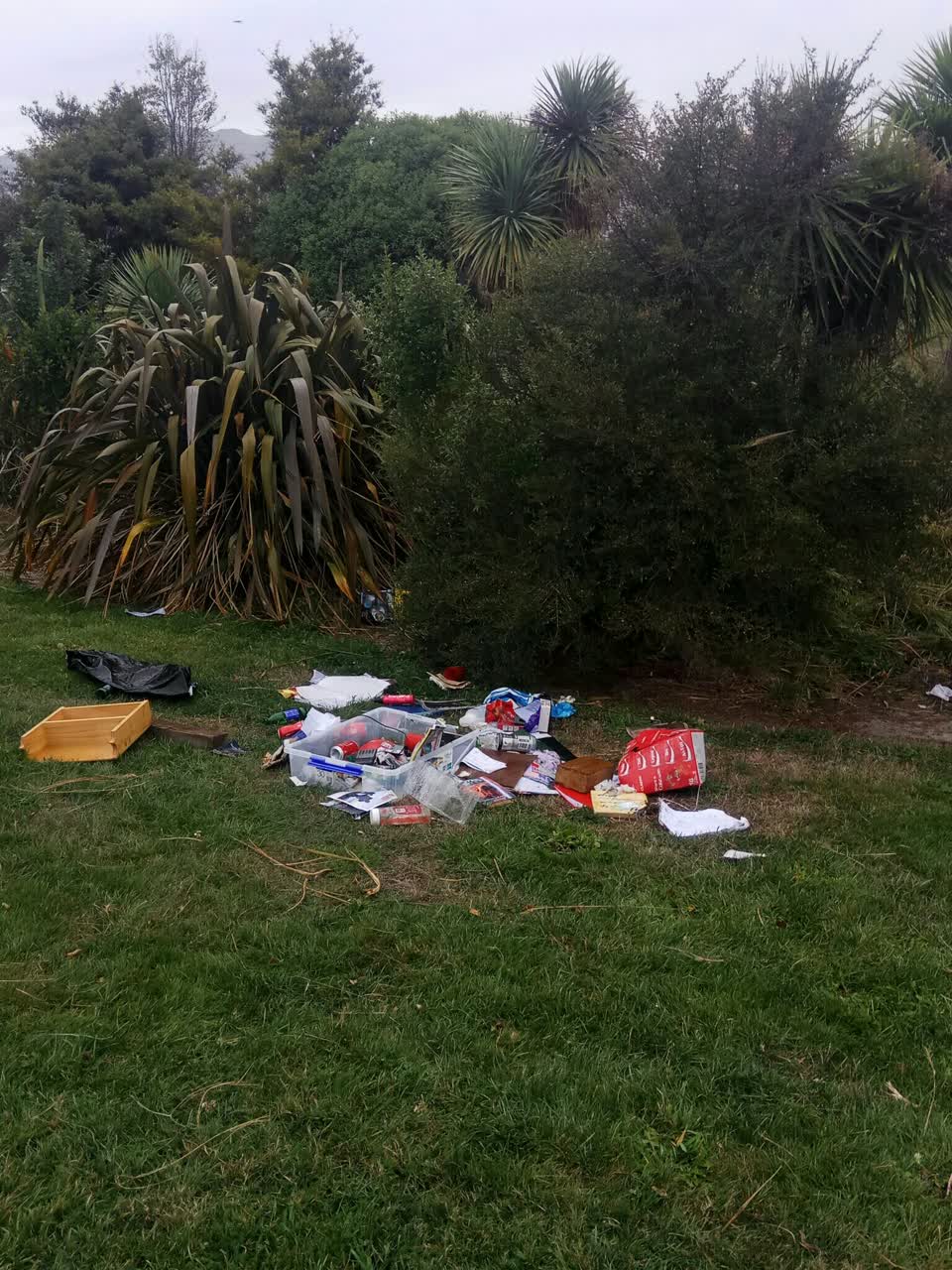 The photograph attached to this rubbish/recycling report