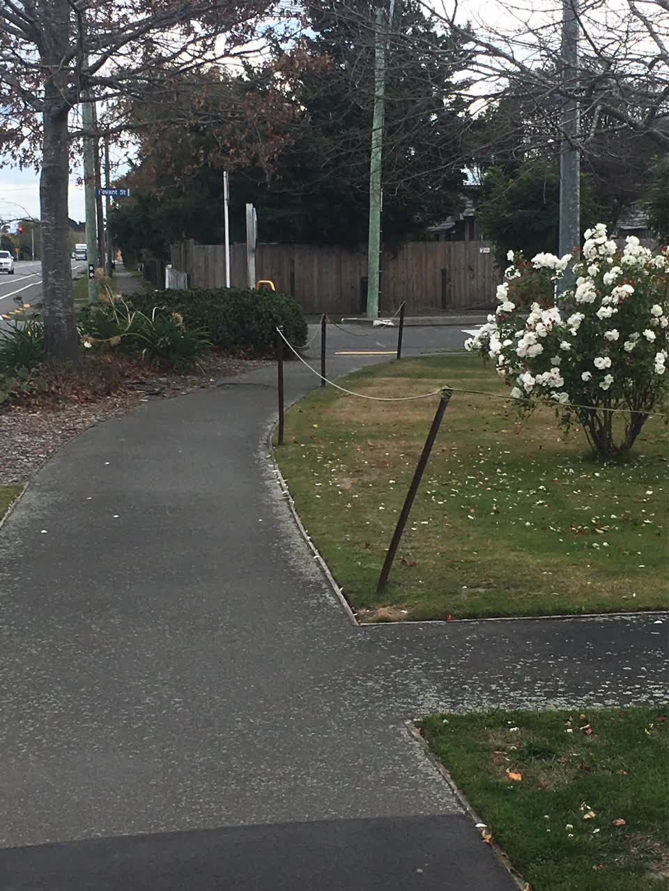 The photograph attached to this roading/streets report