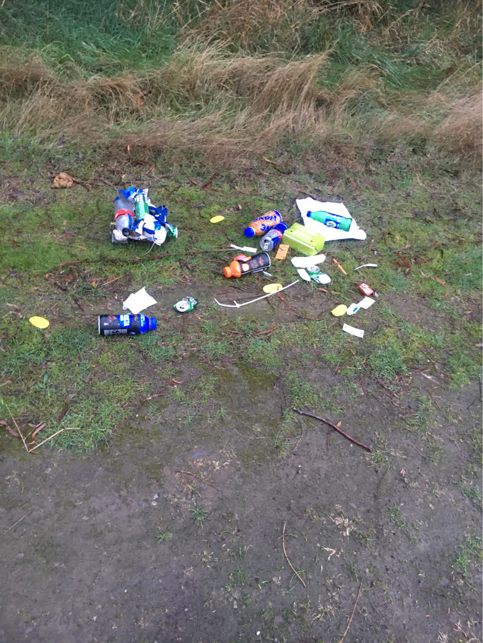 The photograph attached to this rubbish/recycling report